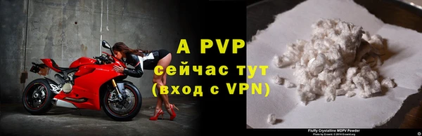 ECSTASY Верея