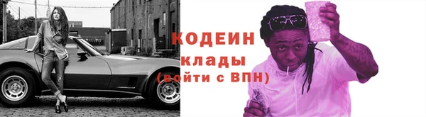дмт Бородино