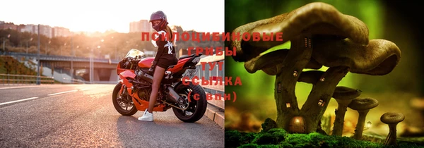 стаф Верхний Тагил
