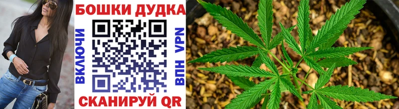 hydra сайт Калязин Бошки Шишки планчик
